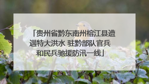 贵州省黔东南州榕江县遭遇特大洪水 驻黔部队官兵和民兵驰援防汛一线