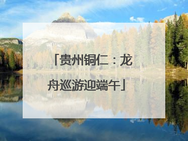 贵州铜仁：龙舟巡游迎端午