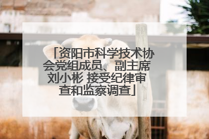 资阳市科学技术协会党组成员、副主席刘小彬 接受纪律审查和监察调查