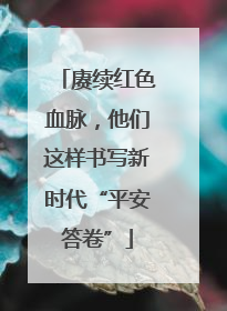 赓续红色血脉，他们这样书写新时代“平安答卷”