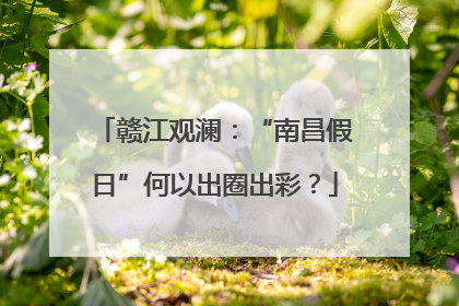 赣江观澜：“南昌假日”何以出圈出彩？