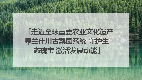 走近全球重要农业文化遗产皋兰什川古梨园系统 守护生态瑰宝 激活发展动能