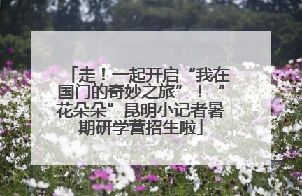 走！一起开启“我在国门的奇妙之旅”！“花朵朵”昆明小记者暑期研学营招生啦