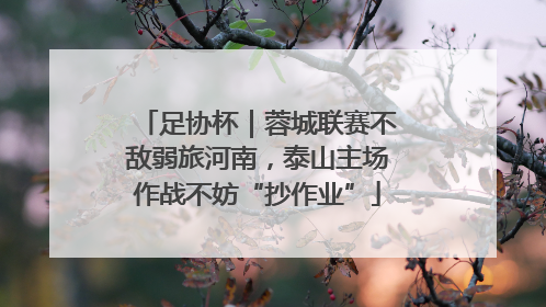 足协杯｜蓉城联赛不敌弱旅河南，泰山主场作战不妨“抄作业”