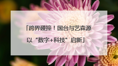 跨界碰撞！国台与艺森源以“数字+科技”启新