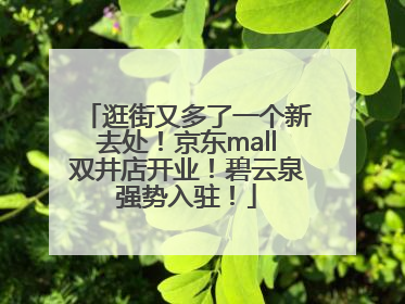 逛街又多了一个新去处！京东mall双井店开业！碧云泉强势入驻！
