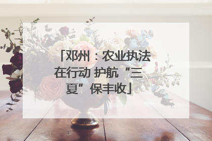 邓州：农业执法在行动 护航“三夏”保丰收