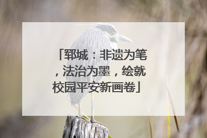 郓城：非遗为笔，法治为墨，绘就校园平安新画卷