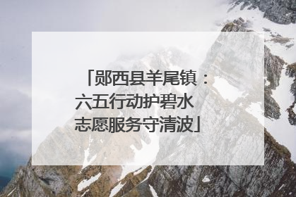 郧西县羊尾镇：六五行动护碧水 志愿服务守清波