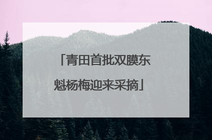 青田首批双膜东魁杨梅迎来采摘