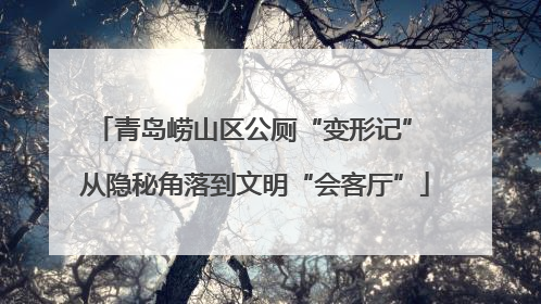 青岛崂山区公厕“变形记” 从隐秘角落到文明“会客厅”