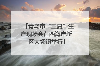 青岛市“三夏”生产现场会在西海岸新区大场镇举行
