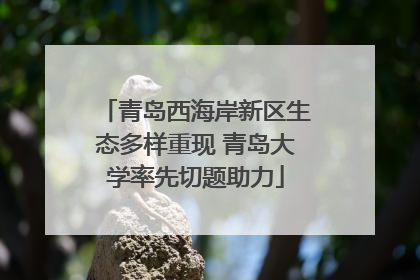 青岛西海岸新区生态多样重现 青岛大学率先切题助力