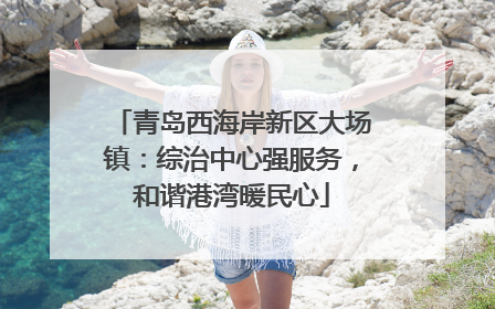 青岛西海岸新区大场镇：综治中心强服务，和谐港湾暖民心