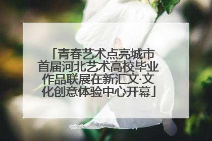 青春艺术点亮城市 首届河北艺术高校毕业作品联展在新汇文·文化创意体验中心开幕