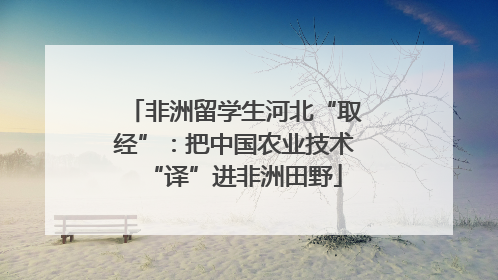 非洲留学生河北“取经”：把中国农业技术“译”进非洲田野