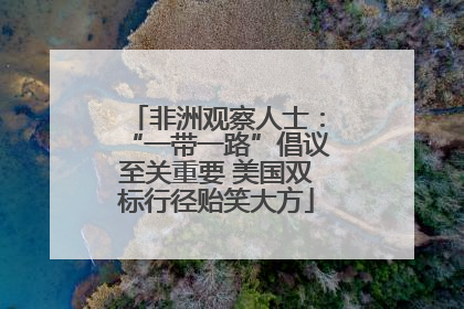 非洲观察人士：“一带一路”倡议至关重要 美国双标行径贻笑大方