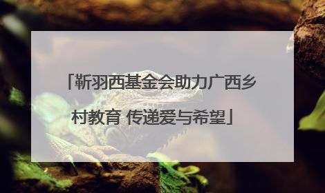靳羽西基金会助力广西乡村教育 传递爱与希望