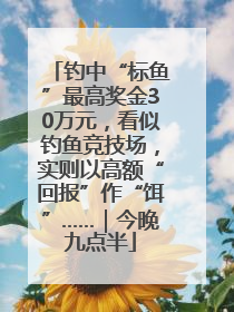 钓中“标鱼”最高奖金30万元，看似钓鱼竞技场，实则以高额“回报”作“饵”……｜今晚九点半