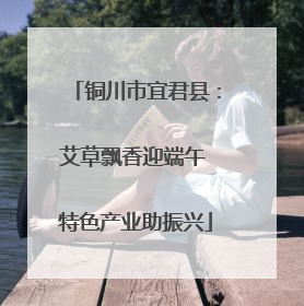 铜川市宜君县：艾草飘香迎端午 特色产业助振兴