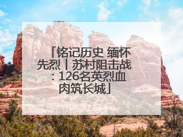 铭记历史 缅怀先烈丨苏村阻击战：126名英烈血肉筑长城