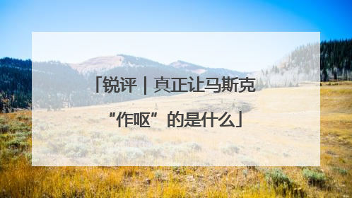 锐评｜真正让马斯克“作呕”的是什么