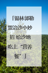 锡林郭勒盟治沙小妙招 给沙地吃上“营养餐”