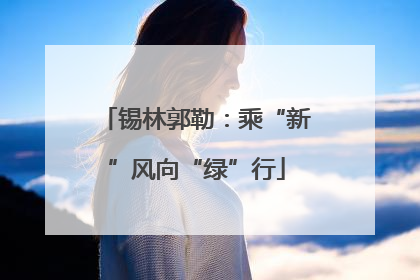 锡林郭勒：乘“新”风向“绿”行