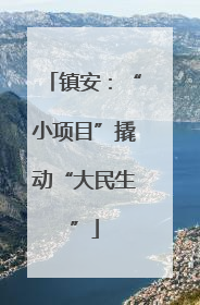 镇安：“小项目”撬动“大民生”