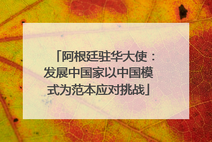 阿根廷驻华大使：发展中国家以中国模式为范本应对挑战