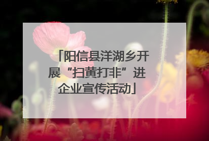 阳信县洋湖乡开展“扫黄打非”进企业宣传活动