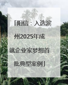 阳信：入选滨州2025年成就企业家梦想首批典型案例
