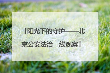阳光下的守护——北京公安法治一线观察