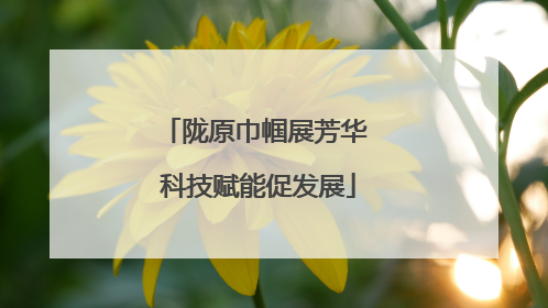 陇原巾帼展芳华 科技赋能促发展