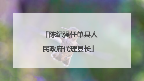 陈纪强任单县人民政府代理县长