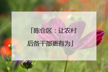 陈仓区：让农村后备干部更有为