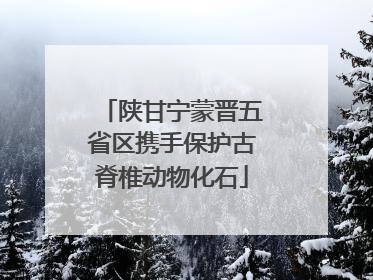 陕甘宁蒙晋五省区携手保护古脊椎动物化石