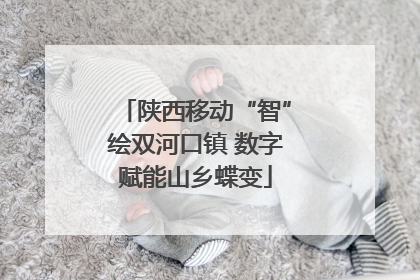 陕西移动“智”绘双河口镇 数字赋能山乡蝶变
