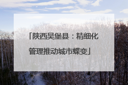 陕西吴堡县：精细化管理推动城市蝶变