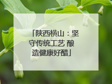 陕西横山：坚守传统工艺 酿造健康好醋