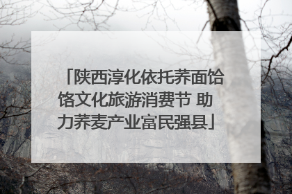 陕西淳化依托荞面饸饹文化旅游消费节 助力荞麦产业富民强县