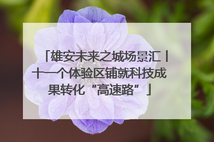 雄安未来之城场景汇丨十一个体验区铺就科技成果转化“高速路”