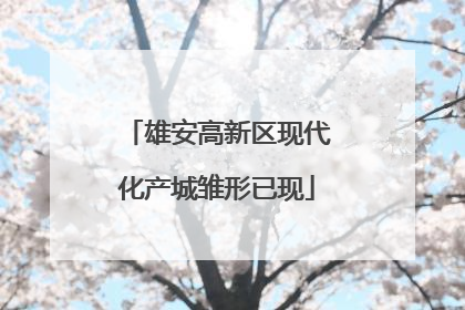 雄安高新区现代化产城雏形已现