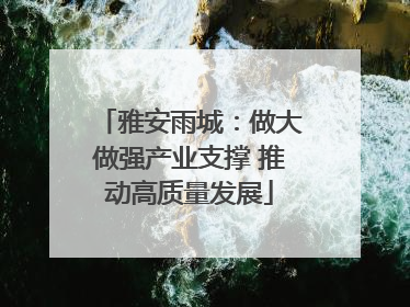 雅安雨城：做大做强产业支撑 推动高质量发展