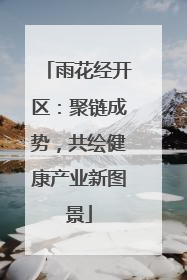 雨花经开区：聚链成势，共绘健康产业新图景