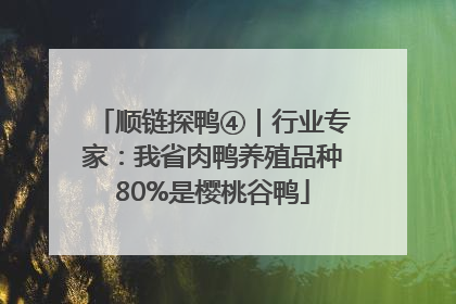 顺链探鸭④｜行业专家：我省肉鸭养殖品种80%是樱桃谷鸭