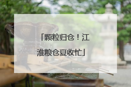 颗粒归仓！江淮粮仓夏收忙