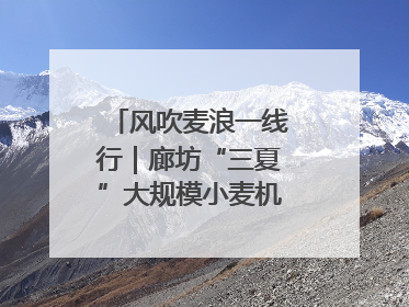 风吹麦浪一线行｜廊坊“三夏”大规模小麦机收全面开始