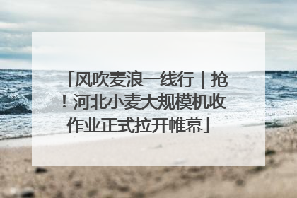 风吹麦浪一线行｜抢！河北小麦大规模机收作业正式拉开帷幕