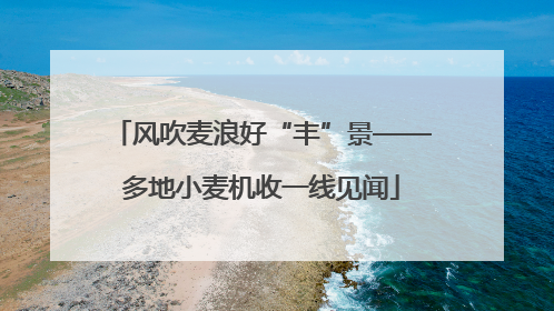 风吹麦浪好“丰”景——多地小麦机收一线见闻